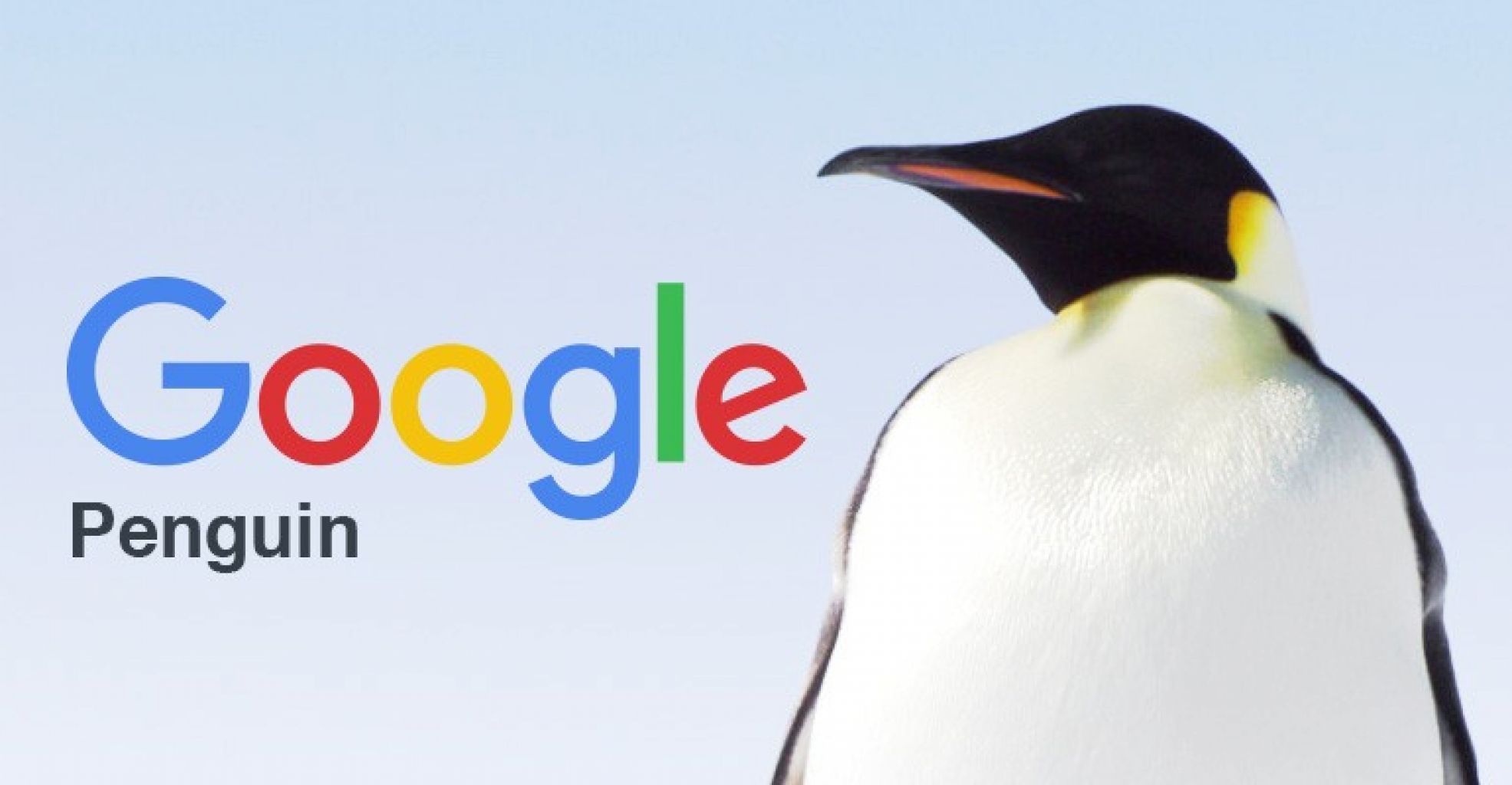 Google Penguin si aggiorna contro i furbetti del SEO